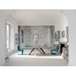 ARTISTS COLLECTION_ KAREN KNORR (VINILO)