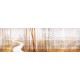 DESIGNERS COLLECTION_ FRANCESCO BOTTI (VINILO)